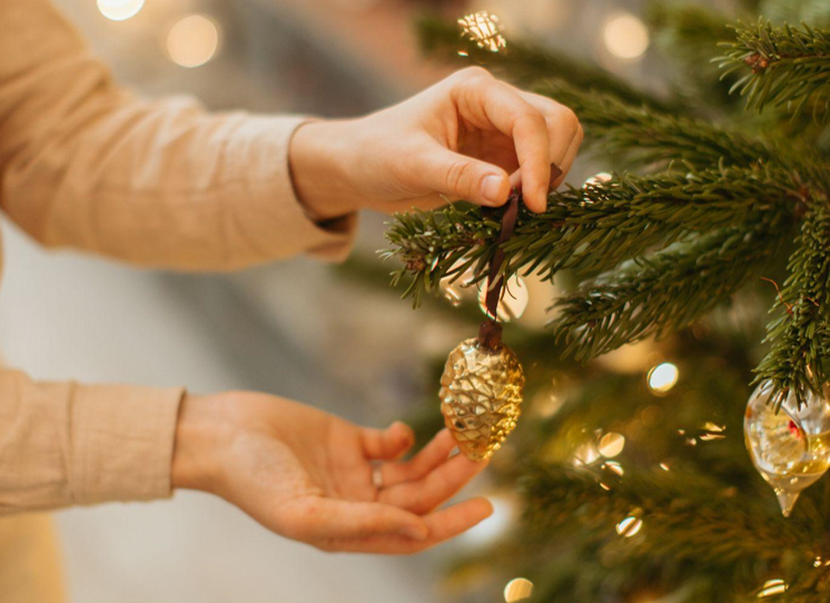 Christmas Trees: Find Your Perfect Holiday Tree