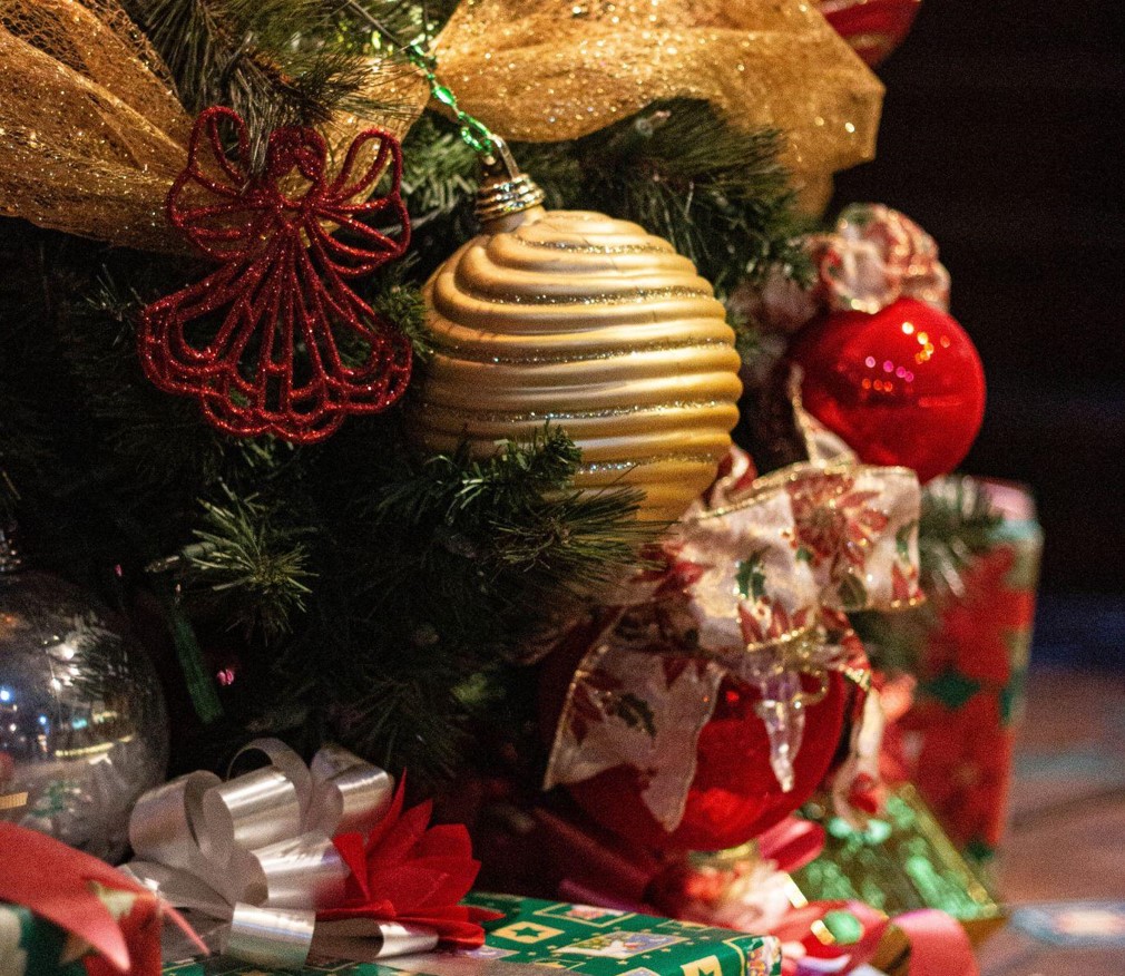 Festive Finds: Christmas Trees on Sale